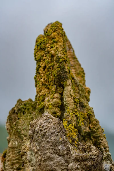 Plan Rapproché Une Roche Formation Géologique Fond Flou — Photo