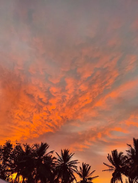 Okouzlující Scéna Siluet Palem Proti Oranžové Oblačné Obloze Při Západu — Stock fotografie