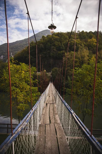 Una Hermosa Vista Puente Del Muelle Conduce Bosque Verde Con — Foto de Stock