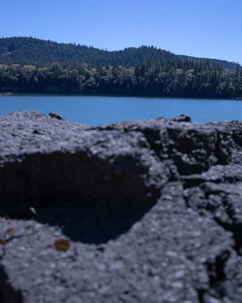 岩石在湖泊和森林背景下的一个垂直的特写 — 图库照片