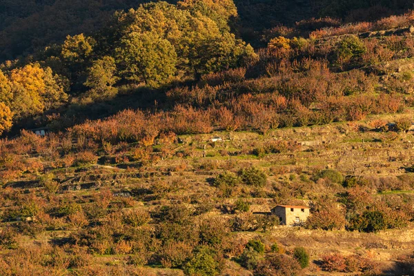 Mavi Gökyüzünün Altındaki Ormanlık Bir Dağın Havadan Görünüşü — Stok fotoğraf