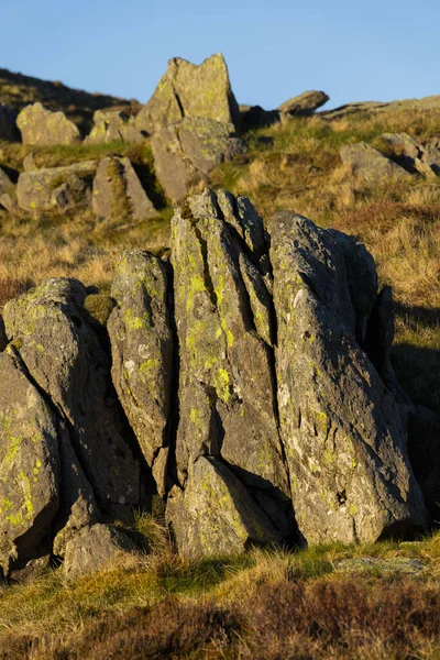 山区苔藓状岩石的垂直拍摄 — 图库照片