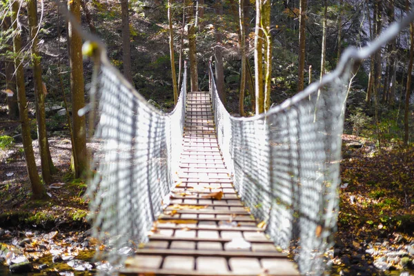 Uma Ponte Móvel Madeira Coberta Folhas Secas Floresta — Fotografia de Stock