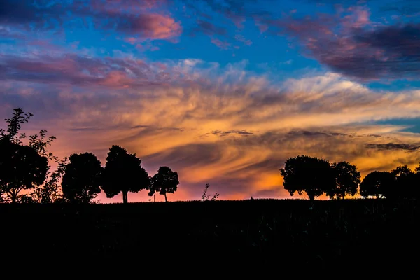 Krásný Výhled Krajinu Siluetami Stromů Pod Zataženou Oblohou Západu Slunce — Stock fotografie