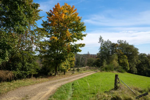 Die Apfelbäume Auf Einer Wiese Bergischen Land — Stockfoto