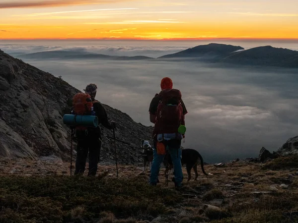 Deux Randonneurs Caucasiens Mâle Debout Côté Chien Sommet Montagne Coucher — Photo