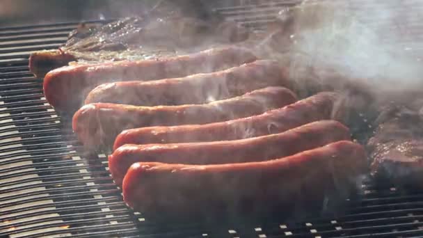 Close View Delicious Grilled Meat Grill — Video