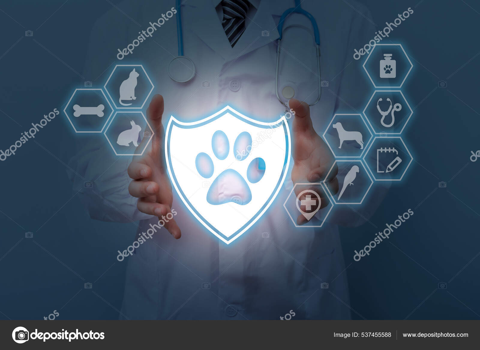 Veterinary Doctor Holding Pet Insurance Sign Concept Pet Insurance