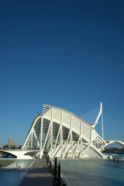 Uno Scatto Verticale Della Città Delle Arti Delle Scienze Valencia — Foto Stock