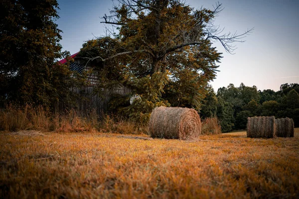 Una Hermosa Vista Fardos Heno Campo Rodeado Árboles Atardecer — Foto de Stock