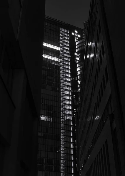 一座美丽的摩天大楼的垂直灰度的照片闪烁着灯光 — 图库照片