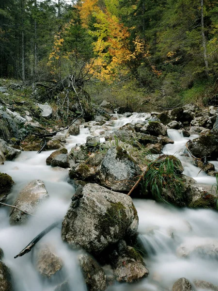 Krásný Dlouhý Pohled Potok Protékající Lesem Podzim — Stock fotografie