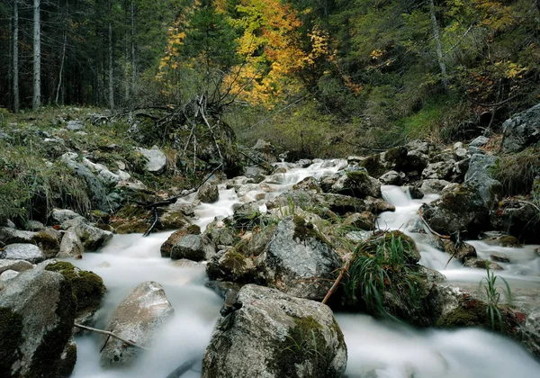 Красивый Вид Ручей Протекающий Через Лес Осенью — стоковое фото