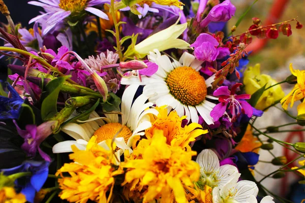 Zbliżenie Bukietu Różnymi Kwiatami — Zdjęcie stockowe