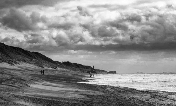 Живописный Черно Белый Снимок Моря Смывающегося Пляже Пасмурную Погоду — стоковое фото