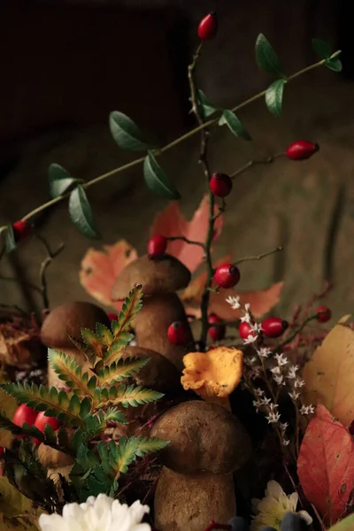 Eine Vertikale Nahaufnahme Des Pilzes Der Einer Herbstlandschaft Wächst — Stockfoto