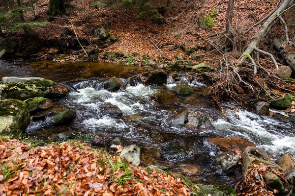 Beautiful Shot Streaming River Rocks Middle Forest — Stockfoto