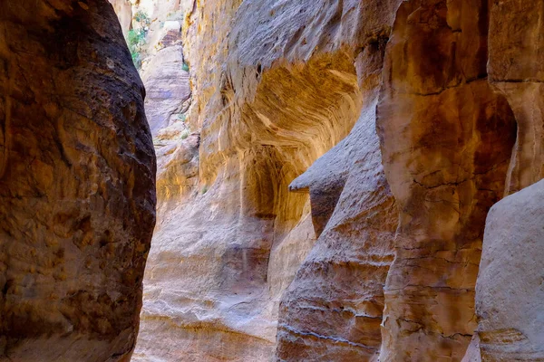 Formaciones Geológicas Fascinantes Petra Jordania —  Fotos de Stock