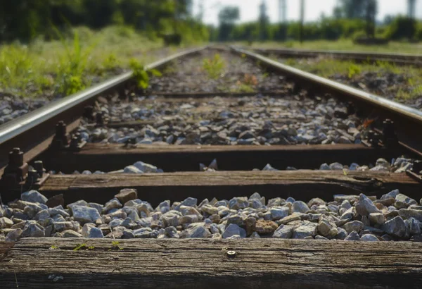 Nahaufnahme Eines Bahngleises Auf Dem Land Bei Tageslicht — Stockfoto