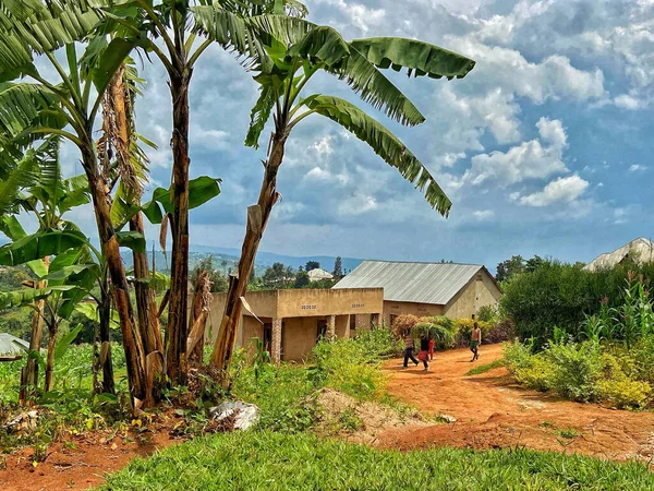 Hyddor Som Bär Gräs Med Tropiska Träd Rwanda — Stockfoto