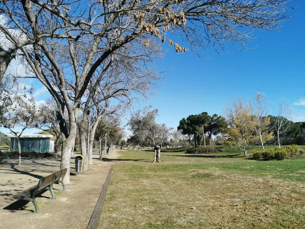 スペイン マドリードの青い空の下でフアン カルロス公園の美しい景色 — ストック写真