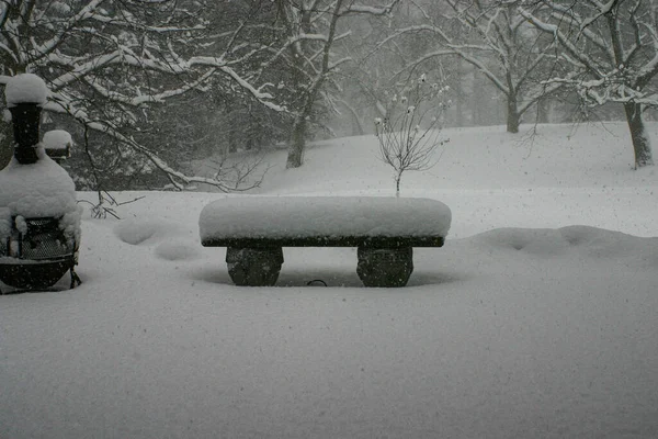 Beautiful Winter Landscape Bench Trees Covered Snow — Fotografia de Stock