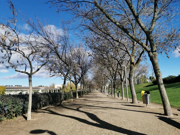 Uma Bela Vista Parque Juan Carlos Sob Céu Azul Madrid — Fotografia de Stock