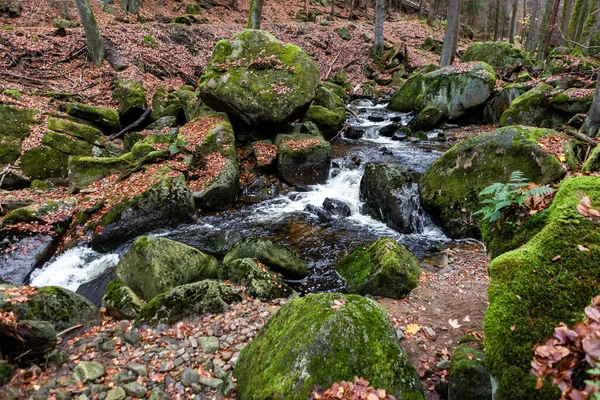 Beautiful Shot Streaming River Rocks Middle Forest — Stock Photo, Image