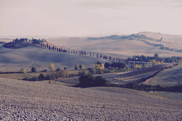 Paesaggio Rurale Con Campi Rurali Toscana Italia — Foto Stock