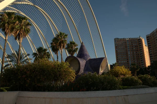 Palms Different Trees Green Grasses Transparent Roof Valencia Spain — Stock Photo, Image