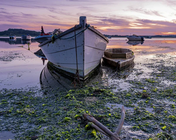 藻に覆われた汚れた水の中の船の眺め — ストック写真