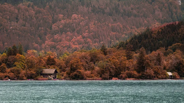 秋を背景にカラフルな森の丘を持つ川の美しい景色 — ストック写真