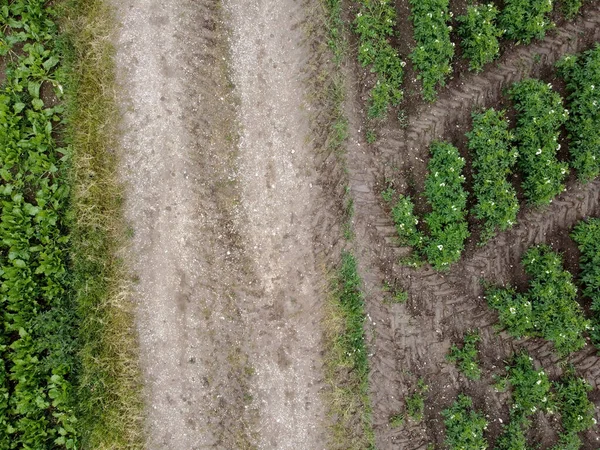 Een Overzicht Vanuit Lucht Van Een Landbouwgebied — Stockfoto