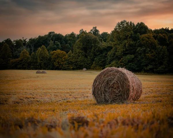 Vacker Utsikt Över Höbalar Ett Fält Omgivet Träd Vid Solnedgången — Stockfoto