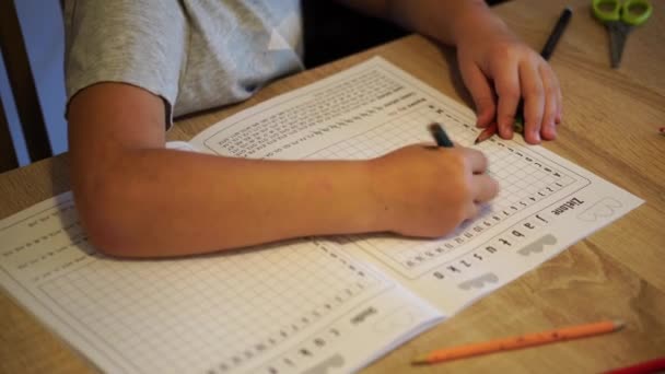 Material Primer Plano Niño Manos Resolviendo Crucigrama — Vídeo de stock