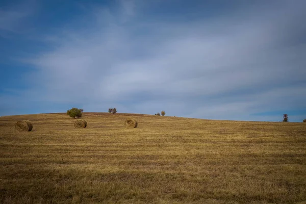 View Agricultural Field Sunny Day — Stock Photo, Image