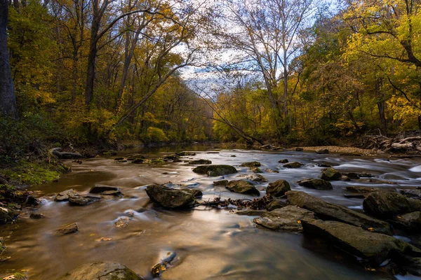 デラウェア州ニューアーク市ホワイトクレイクリーク州立公園の森の中を流れる川の景色 — ストック写真