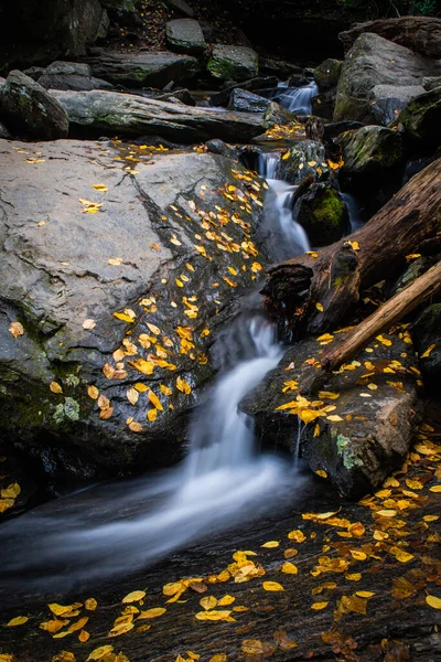 Vertical Shot River Flowing Rocks Autumn — Stock Photo, Image