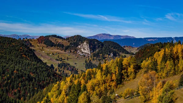 Vacker Utsikt Över Ett Landskap Med Berg Och Höstträd — Stockfoto