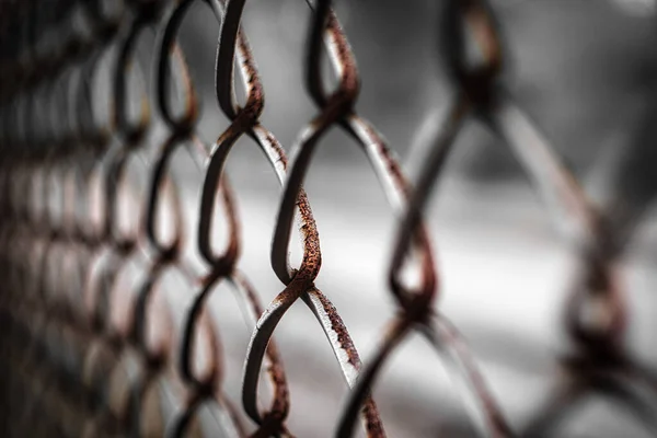 Closeup Shot Rusty Old Metal Mesh — Stockfoto