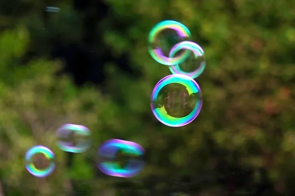 Bubbles Repül Levegőben Szabadban — Stock Fotó