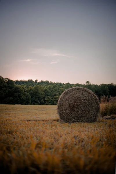 Uma Bela Vista Fardos Feno Campo Cercado Por Árvores Pôr — Fotografia de Stock