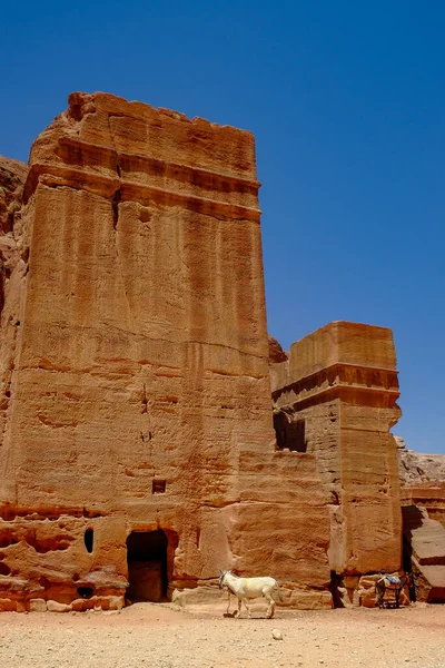 Μια Κάθετη Λήψη Ιστορικών Κτιρίων Στην Πέτρα Της Ιορδανίας — Φωτογραφία Αρχείου