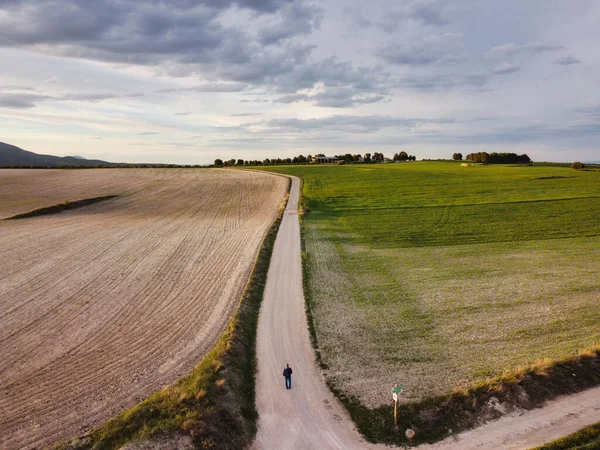Widok Powietrza Drogi Wiejskiej Środku Rozległego Pola Rolniczego — Zdjęcie stockowe