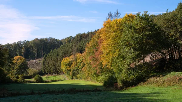 ドイツ ベルギッシュ ランドの自然景観 — ストック写真