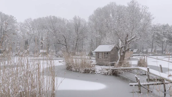 Een Landschappelijk Uitzicht Besneeuwde Bomen Huizen Een Bevroren Visvijver — Stockfoto