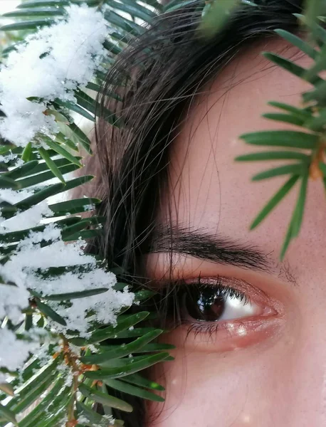눈덮인 가문비나무 근처의 암컷의 — 스톡 사진