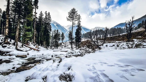 Una Hermosa Vista Paisaje Invernal Con Árboles Rodeados Montañas Cubiertas — Foto de Stock