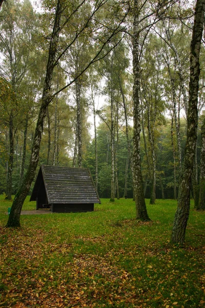 Eine Vertikale Aufnahme Einer Kleinen Hundehütte Einem Herbstlichen Wald — Stockfoto