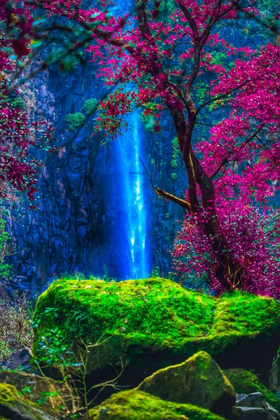 Vertical Shot Beautiful Landscape Rocks Covered Moss Blossomed Trees Waterfall — Fotografia de Stock